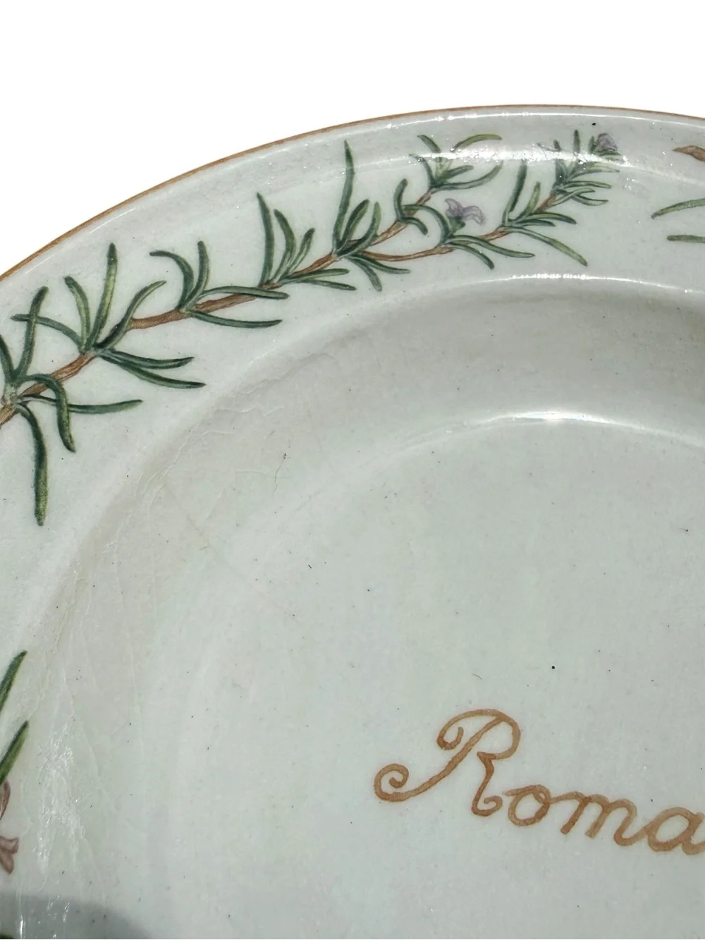 Vintage Williams Sonoma Romarin Rosemary Pasta Soup Bowl Italy Retired Rare HTF